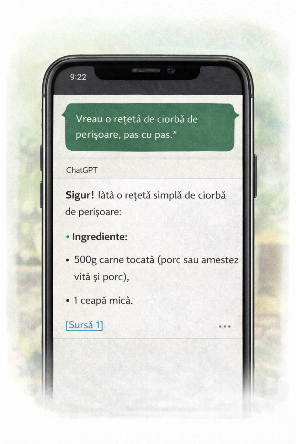 Exemplu conversație ChatGPT cu răspuns și ingrediente